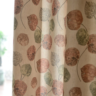 Le rideau de feuille brun d'Eucalyptus Moment 1