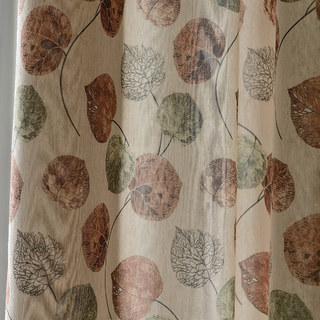 Le rideau de feuille brun d'Eucalyptus Moment 5