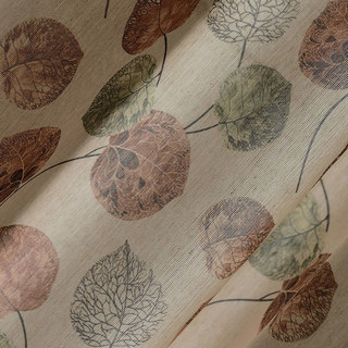 Le rideau de feuille brun d'Eucalyptus Moment 6