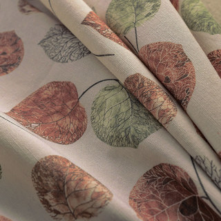 Le rideau de feuille brun d'Eucalyptus Moment 4