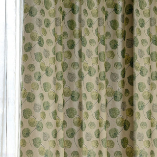 Le rideau de feuille verte du Moment Eucalyptus 1
