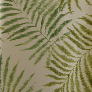 Feuilles d'arbres de palmiers