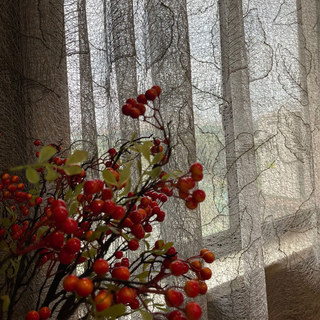 Feuilles d'or Brodées Gris Mesh Net Rideau 2