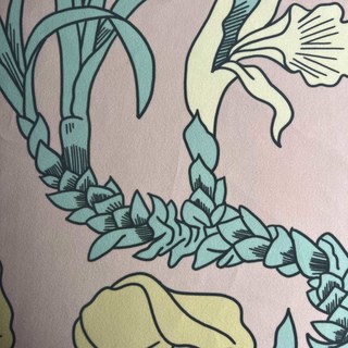 Botanica Rose Poudré Rayé Floral Rideau en Velours 4