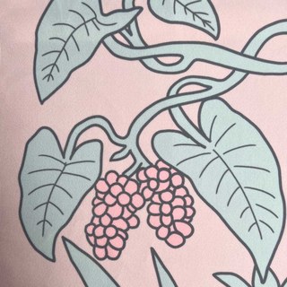 Botanica Rose Poudré Rayé Floral Rideau en Velours 3