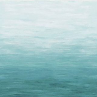Rivière Moon Aqua Bleu Ombre Rideau de velours 5