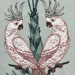 Paradise Parrots Sage Vert Velvet Rideaux Floraux 5