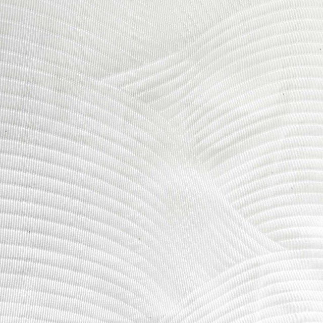 Tide Courroie de luxe à motif blanc voilé 1